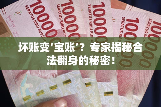 北京坏账变‘宝账’？专家揭秘合法翻身的秘密！