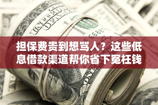北京担保费贵到想骂人？这些低息借款渠道帮你省下冤枉钱